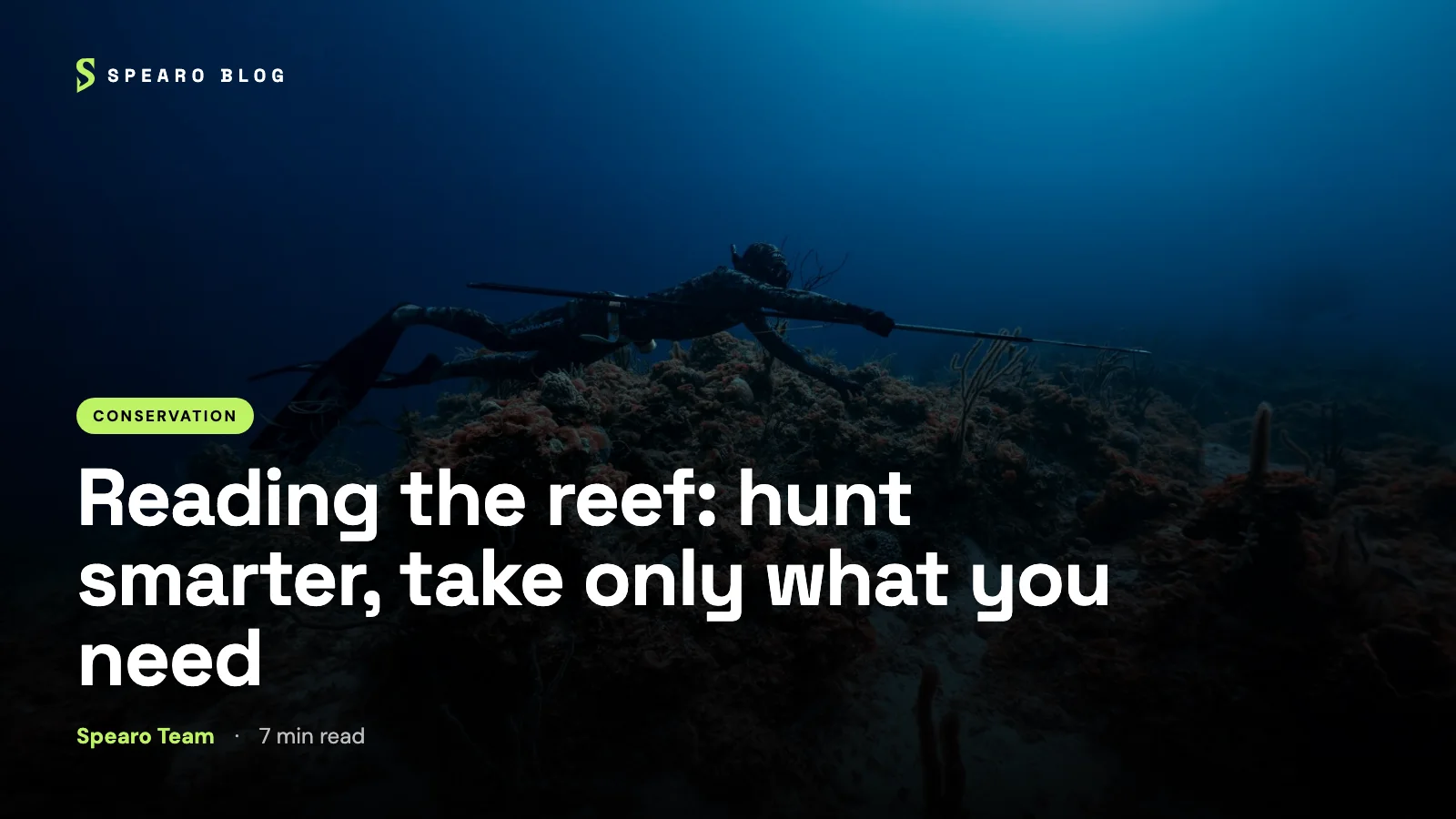 Reading the reef: hunt smarter, take only what you need (mockup)
